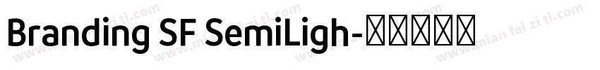 Branding SF SemiLigh字体转换